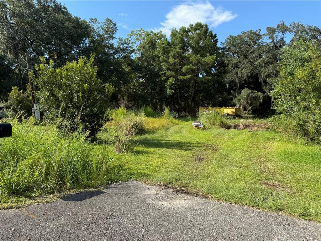 35620 Sisters Road Slidell, LA 70460 - Photo 4 of 10