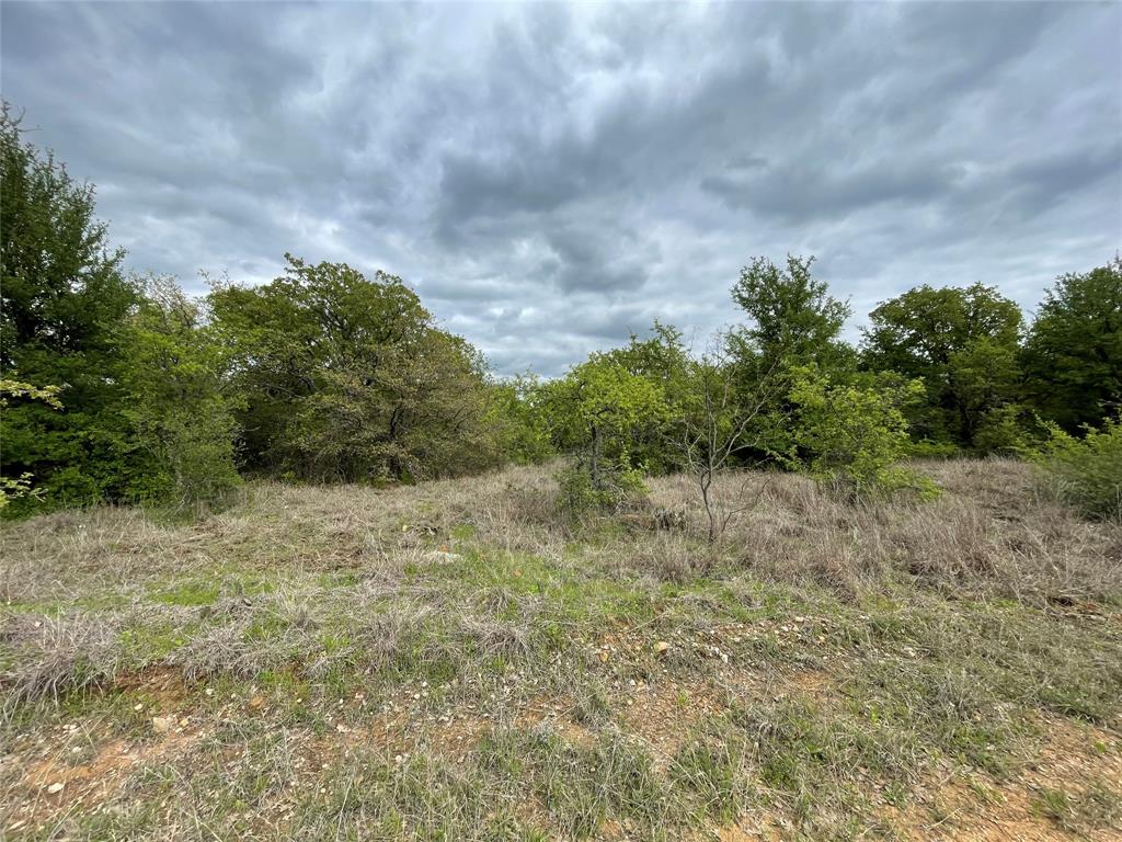 Tbd Oilfield Road Jacksboro, TX 76458 - Photo 16 of 35 a view of a big yard with lots of green space