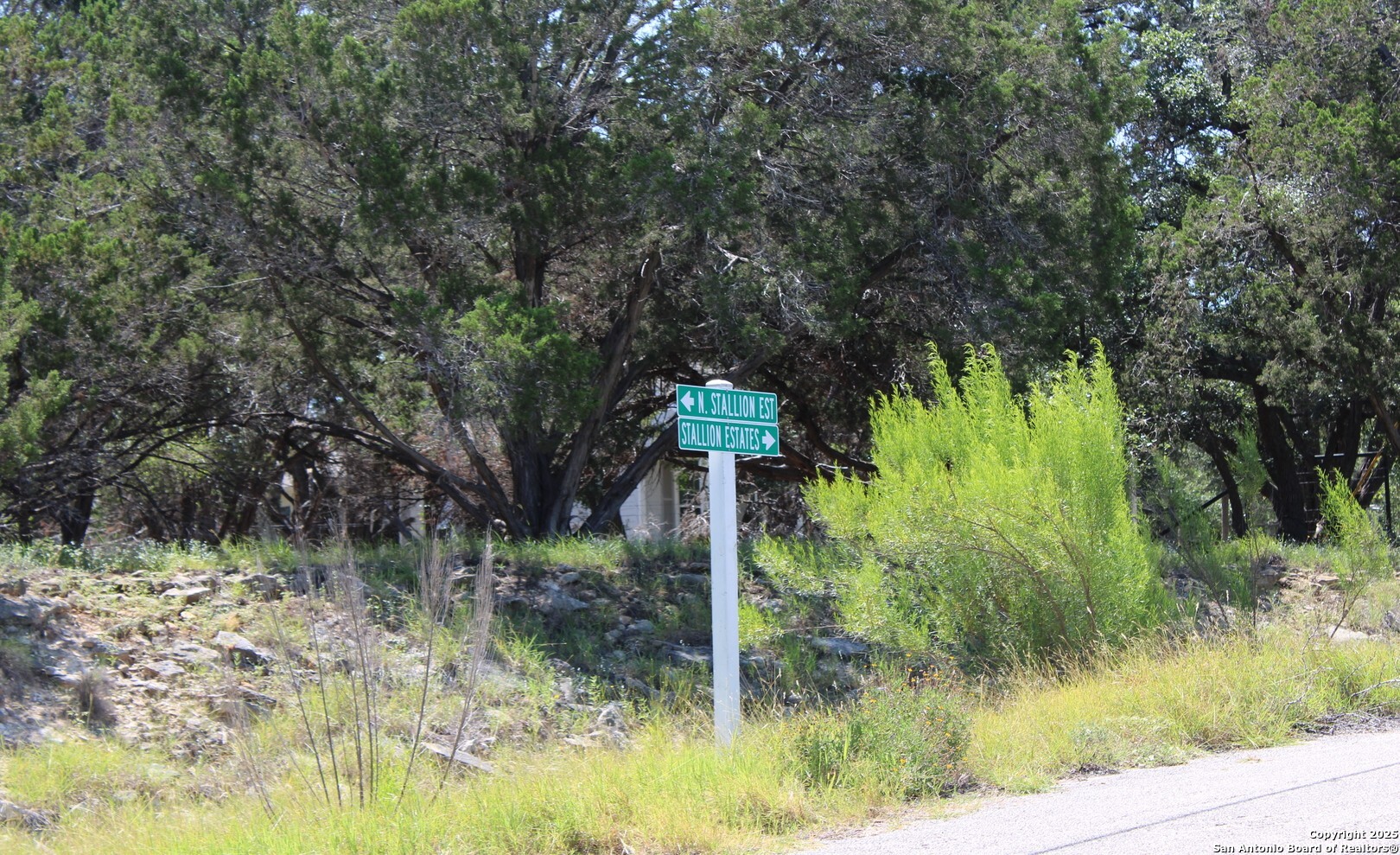 0 North Stallion Ests Drive Spring Branch, TX 78070 - Photo 3 of 17 a fire hydrant in the middle of a forest