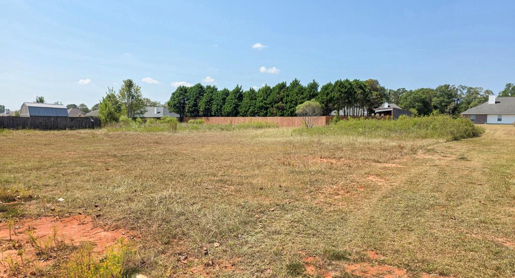 0 Hannah Road Daleville, AL 36322 - Photo 4 of 4