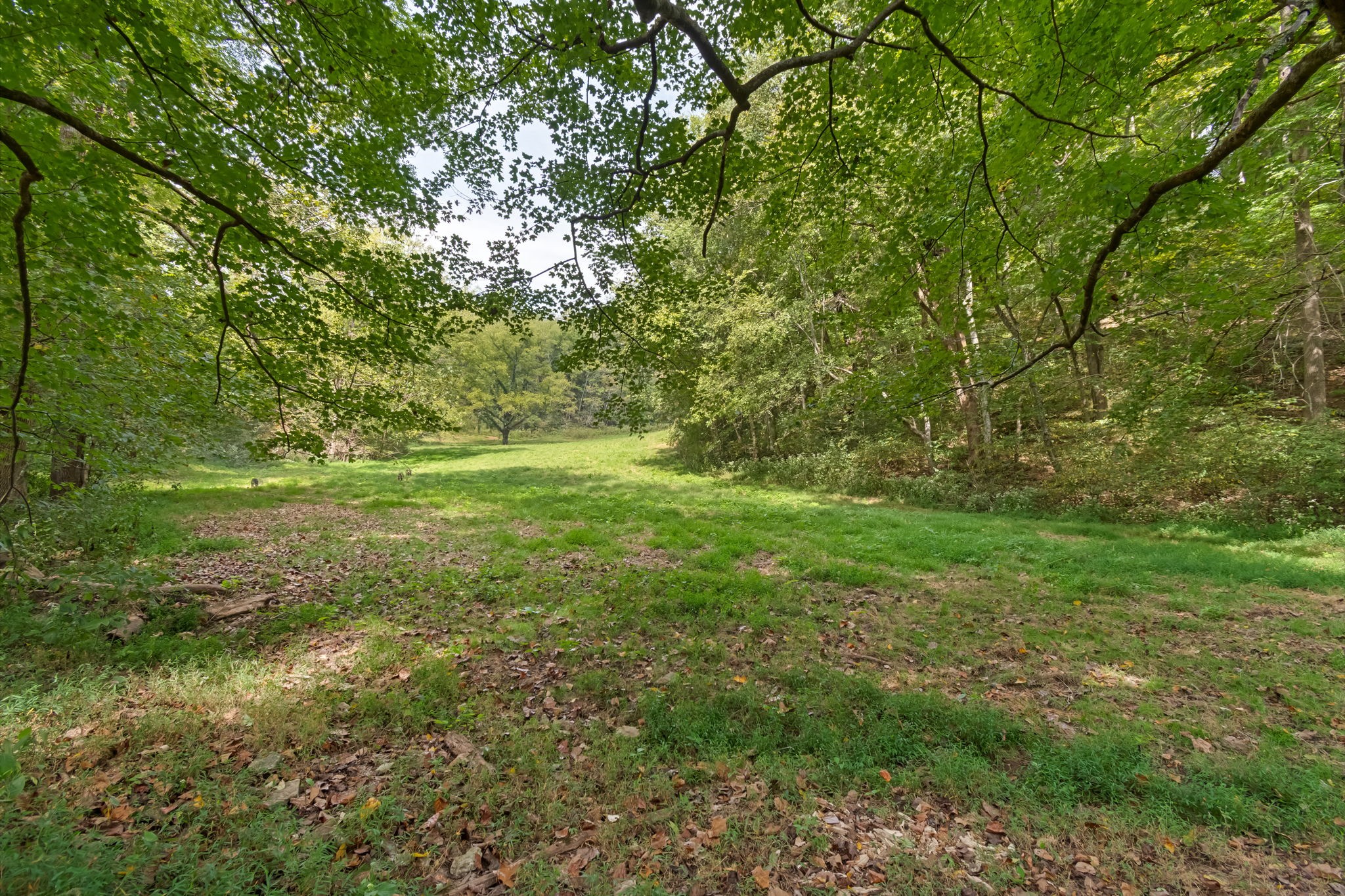 384 Big Spring Hollow Road Pulaski, TN 38478 - Photo 15 of 54 Gallery Image 15