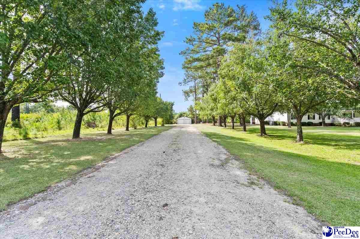 41 New Zion Road Lake City, SC 29560 - Photo 2 of 48 Gallery Image 2