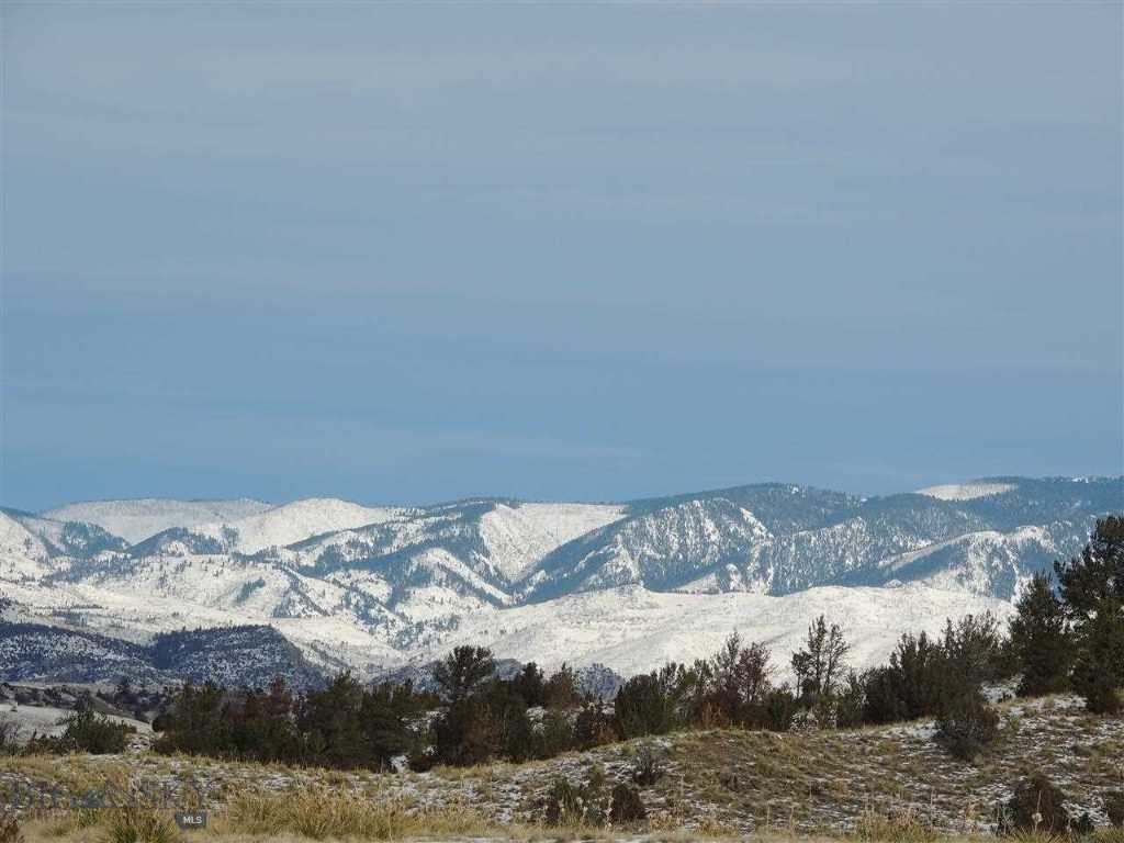 Crystal Mountain Road Three Forks, MT 59752 - Photo 1 of 1 Gallery Image 1
