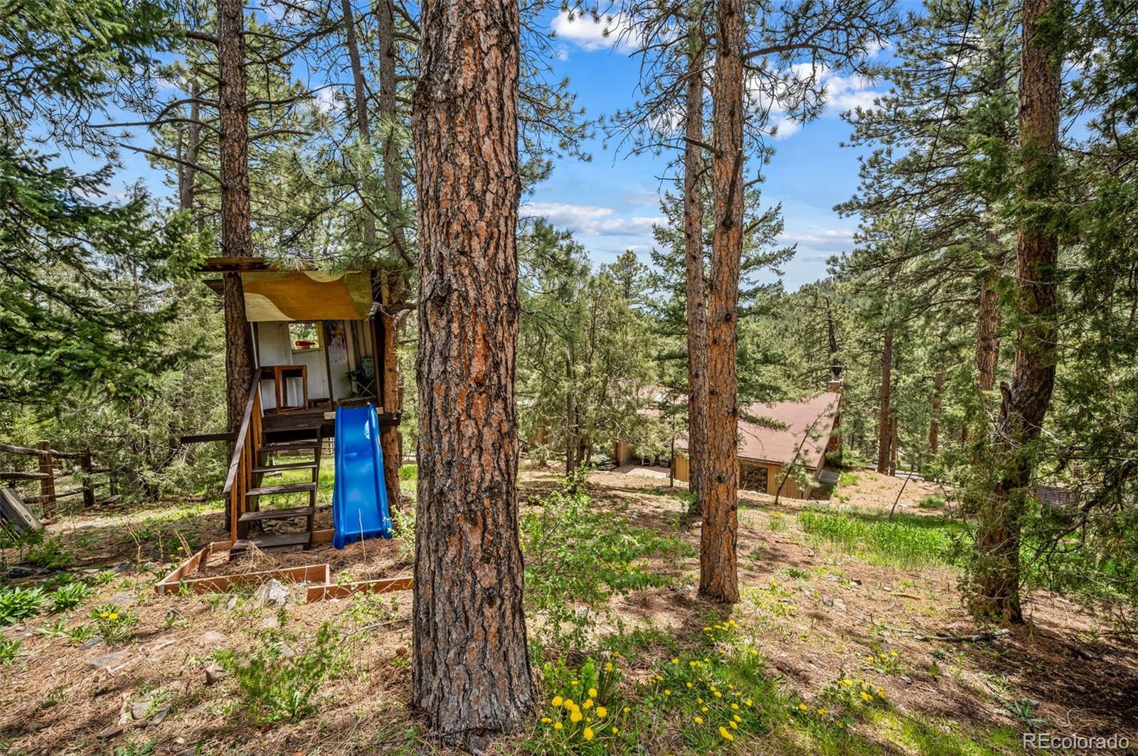 30315 Lone Spruce Road Evergreen, CO 80439 - Photo 34 of 48 a backyard of a house with lots of green space