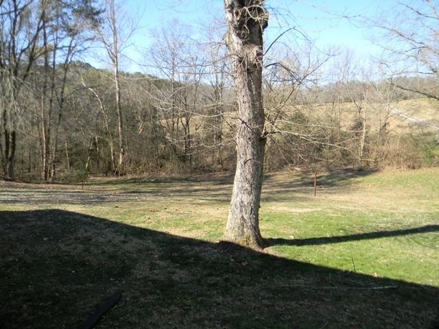 1314 Hilltop Road Dandridge, TN 37725 - Photo 5 of 16 Gallery Image 5