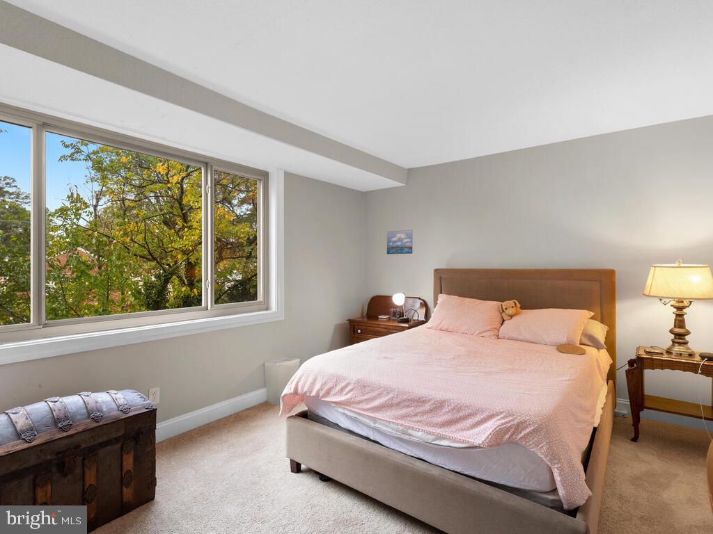 4410 Oglethorpe Street Hyattsville, MD 20781 - Photo 21 of 27