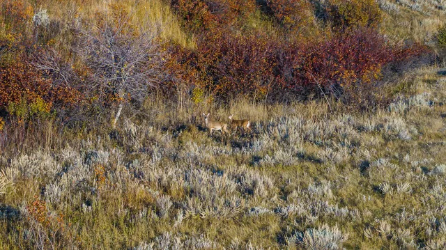 $219,900 | Crow Lane, Banner, WY 82832