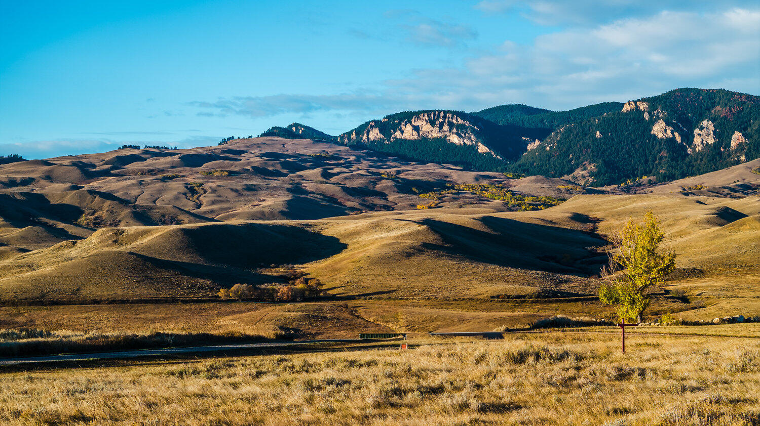 Crow Lane Banner, WY 82832 - Photo 13 of 20 013_dji_20251021073918_0739_d_233