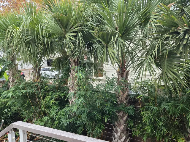 $2,249,000 | 7 Carrere Court, Charleston, SC 29403