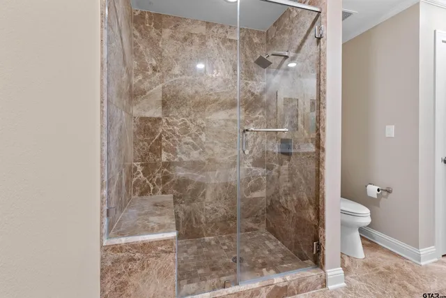 a bathroom with a shower and toilet