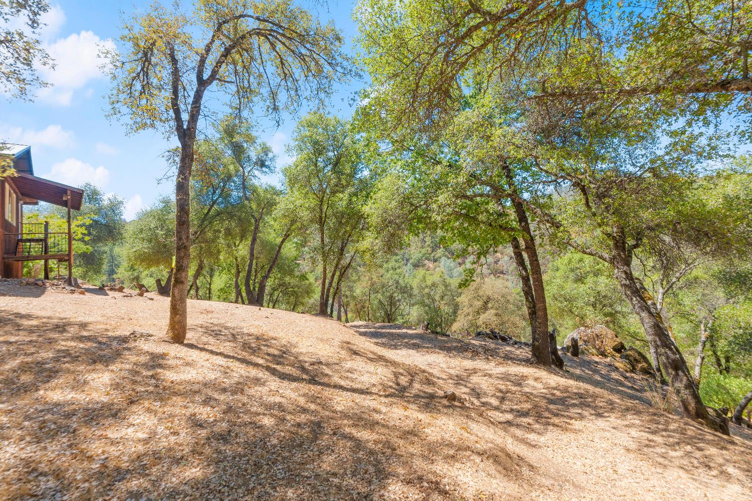 23650 Tundra Road Auburn, CA 95602 - Photo 19 of 45 a backyard of a house with lots of green space