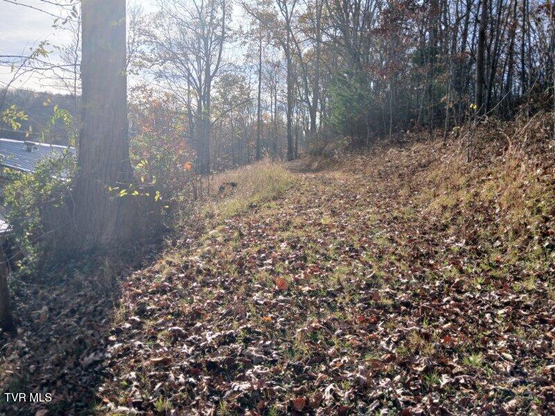 1021 Marbleton Road Unicoi, TN 37692 - Photo 13 of 35 IMG_20241119_111104