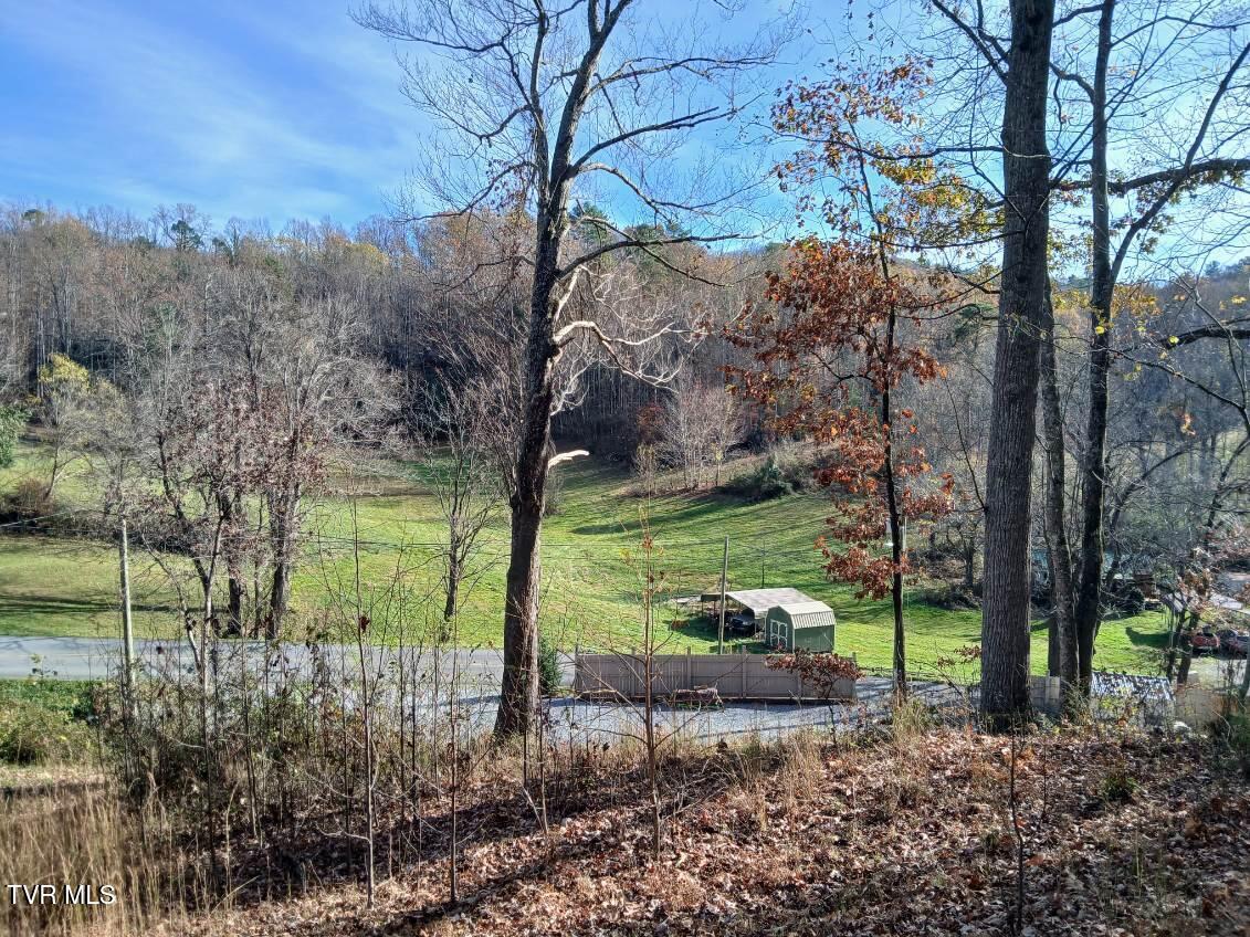 1021 Marbleton Road Unicoi, TN 37692 - Photo 14 of 35 IMG_20241119_111131