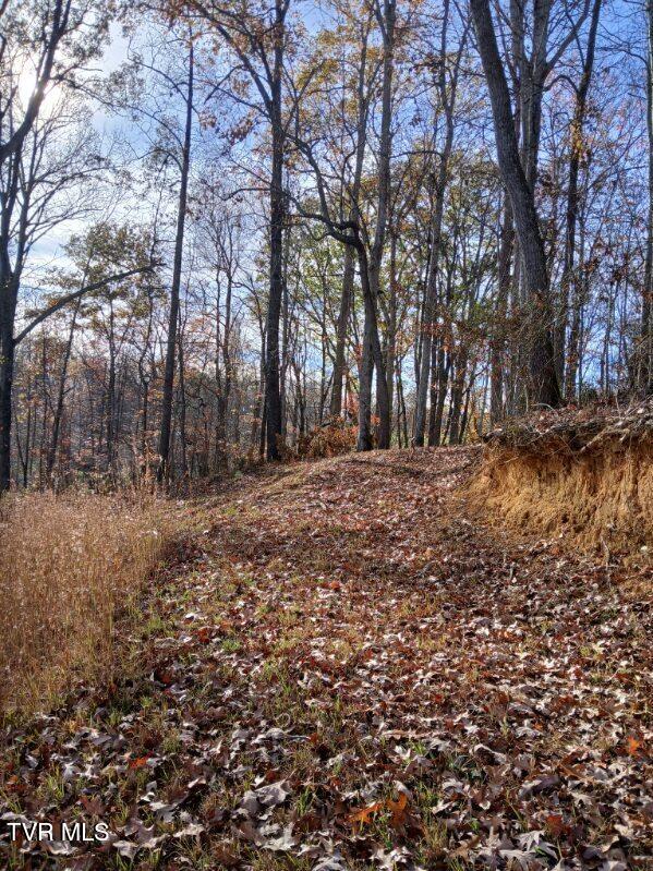 1021 Marbleton Road Unicoi, TN 37692 - Photo 10 of 35 IMG_20241119_111119