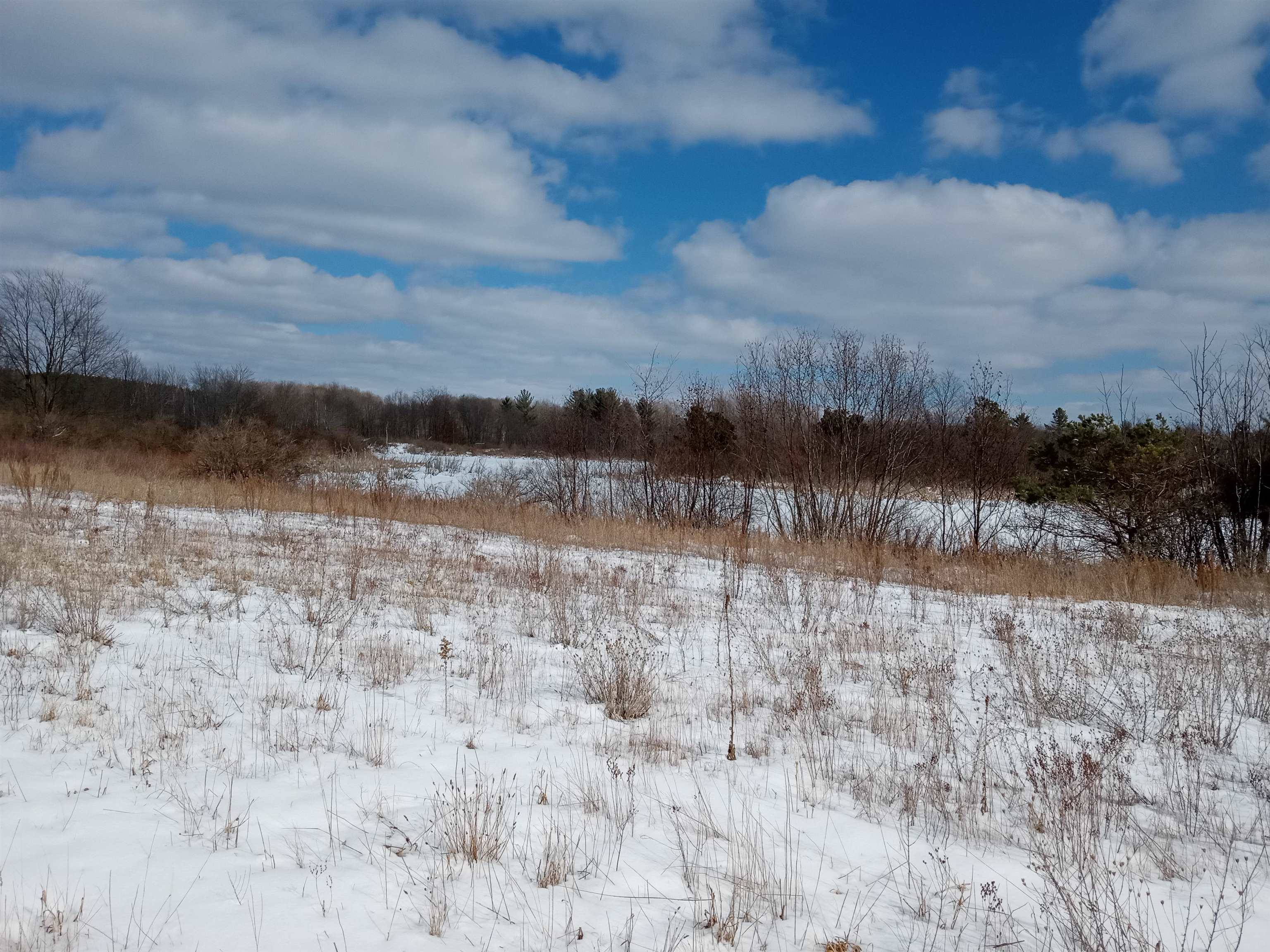 Tbd Roosevelt Road Remus, MI 49340 - Photo 5 of 27 1897397-4.JPG