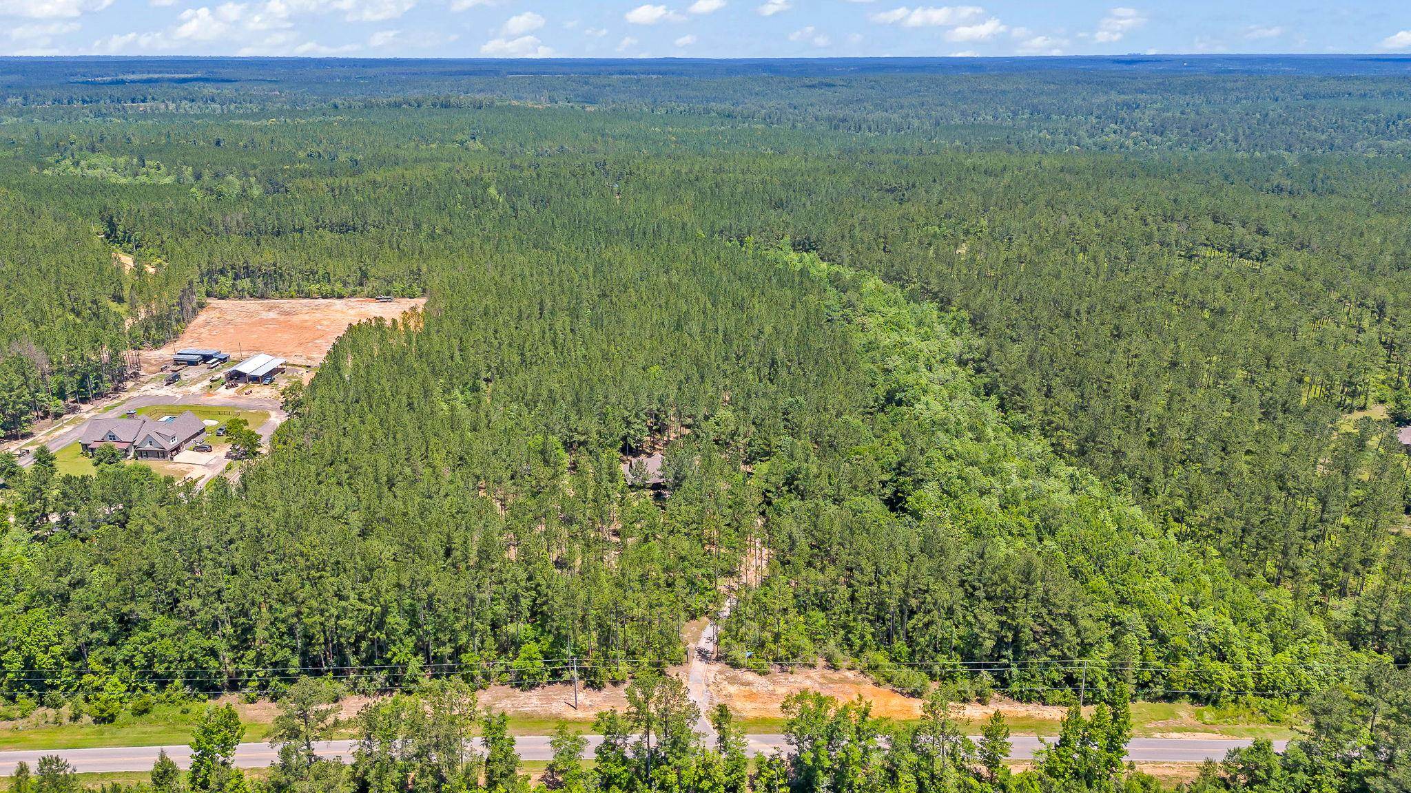 12449 Maytower Road Stockton, AL 36579 - Photo 23 of 70 Aerial View
