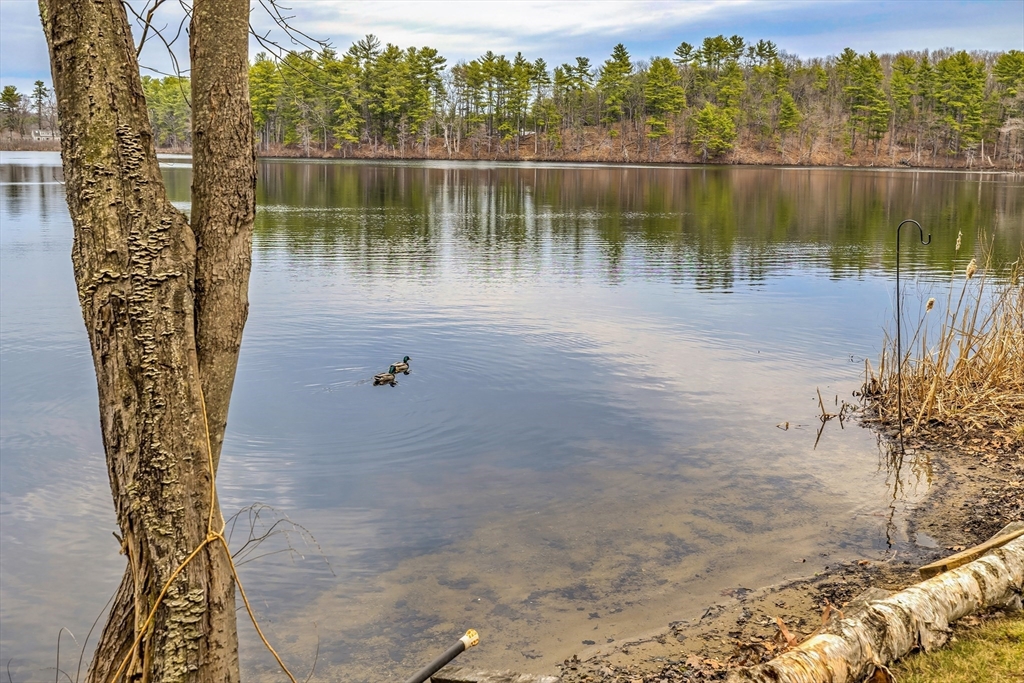 25 Whitney Pond Road Groton, MA 01450 - Photo 39 of 42