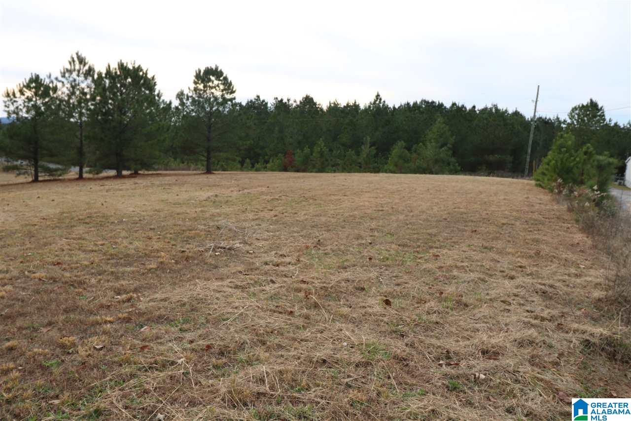 110 Rock Crest Road Odenville, AL 35120 - Photo 30 of 30