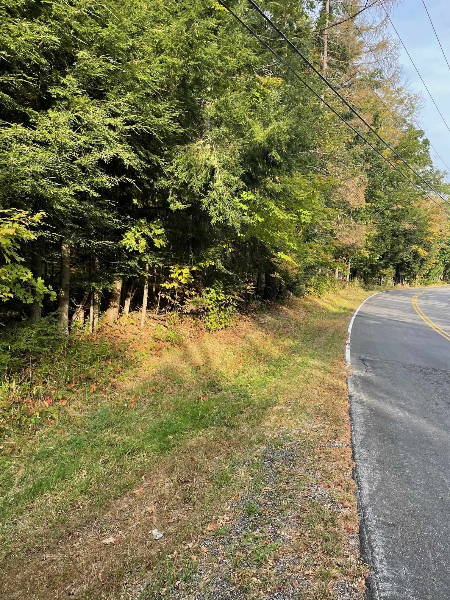 . Center Road Hillsborough, NH 03244 - Photo 4 of 19