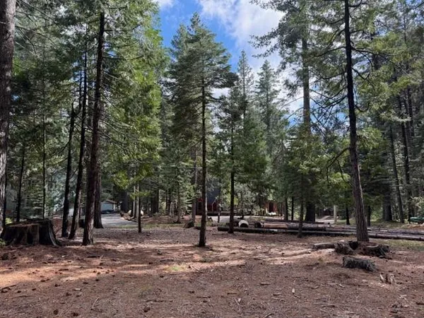 $50,000 | 1510 Pawnee Drive, Dorrington, CA 95223