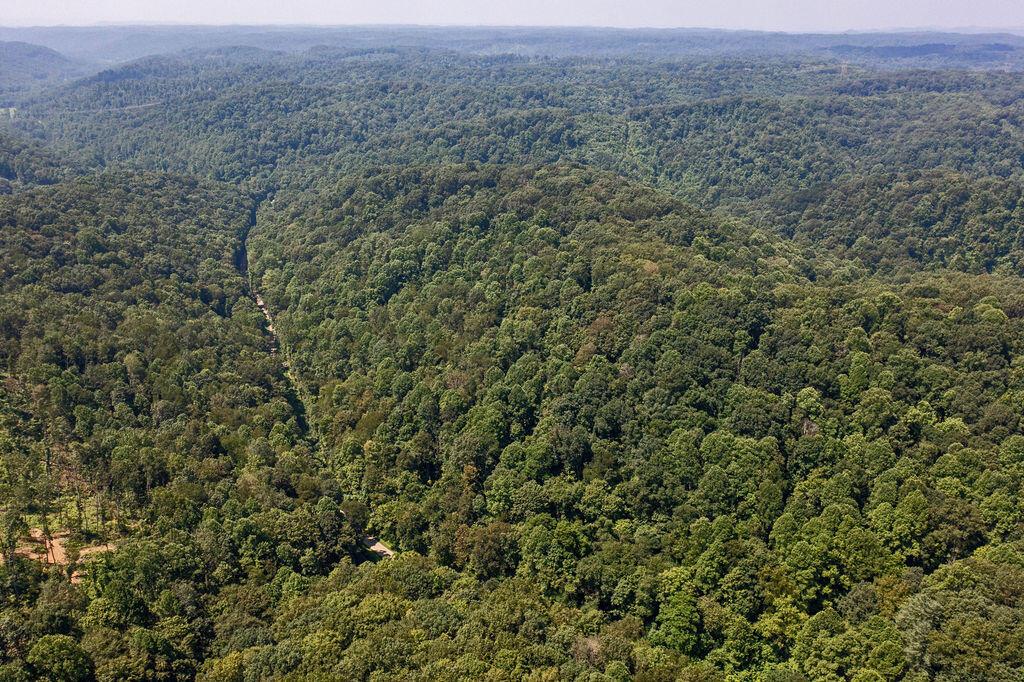 24272 Conrad Road Laurelville, OH 43135 - Photo 12 of 32 12-Aerial-8