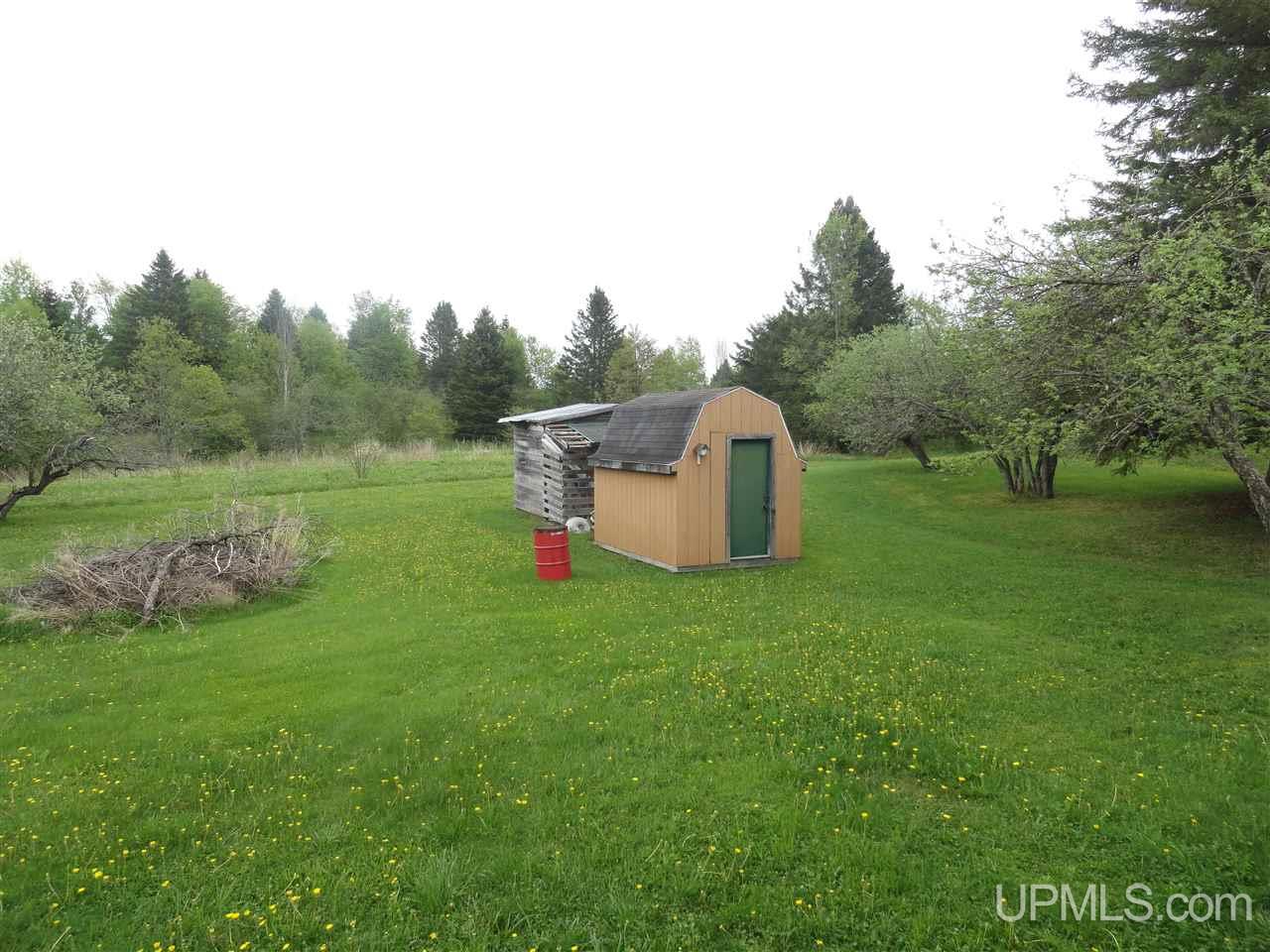 13740 Hahn Road Engadine, MI 49827 - Photo 26 of 48 Gallery Image 26