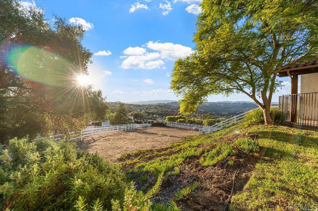 2155 Mil Sorpresas Drive Fallbrook, CA 92028 - Photo 46 of 48 a view of a yard with a tree