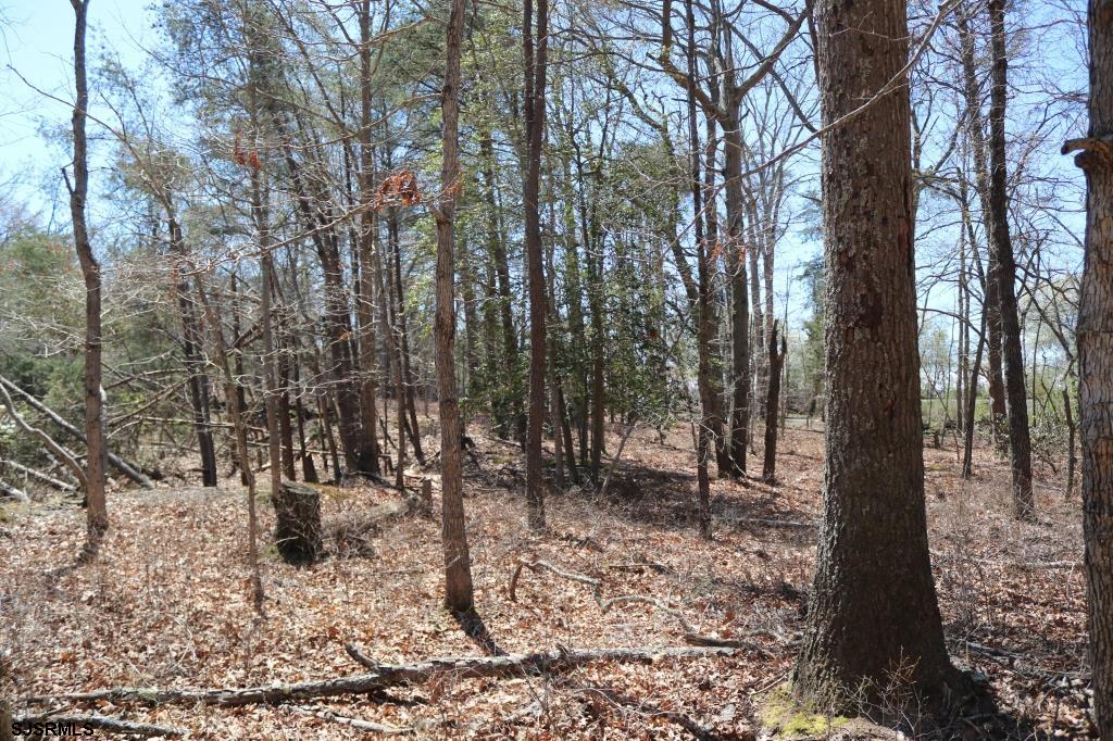 351 Shaws Mill Road Newport, NJ 08345 - Photo 14 of 84