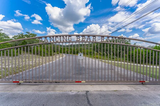 a view of a house with a yard and potted plants