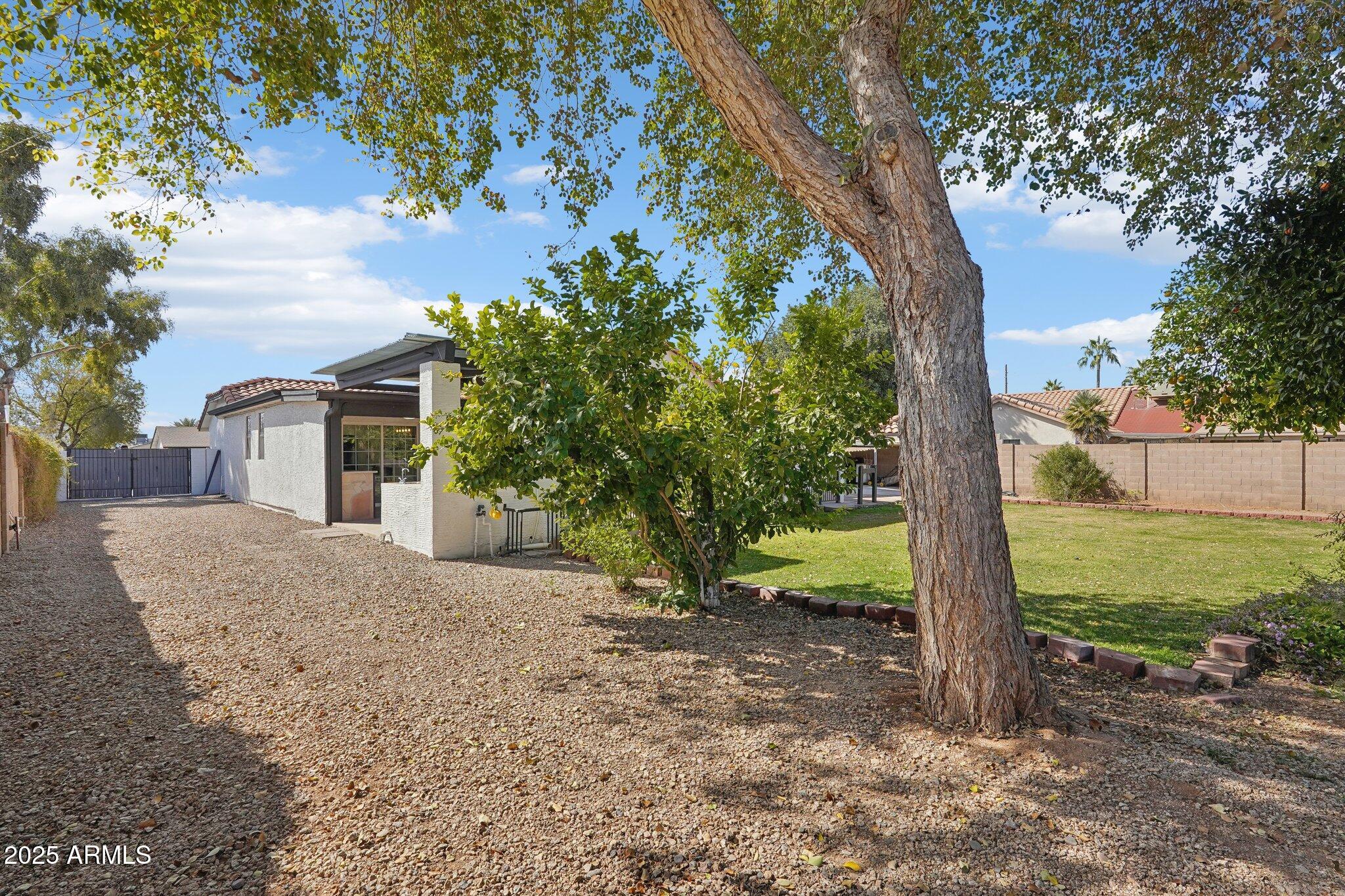5704 East Estrid Avenue Scottsdale, AZ 85254 - Photo 47 of 48 a view of a house with a tree in the background