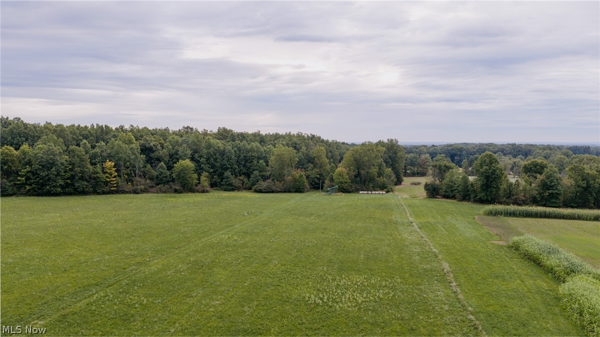 3777 Wayland Road Diamond, OH 44412 - Photo 10 of 34 Gallery Image 10