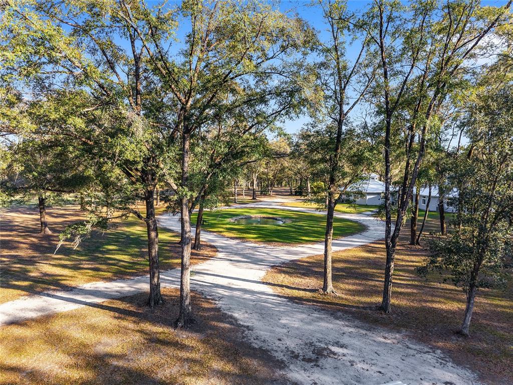 6012 168th Street Alachua, FL 32615 - Photo 4 of 48 a view of a park with large trees