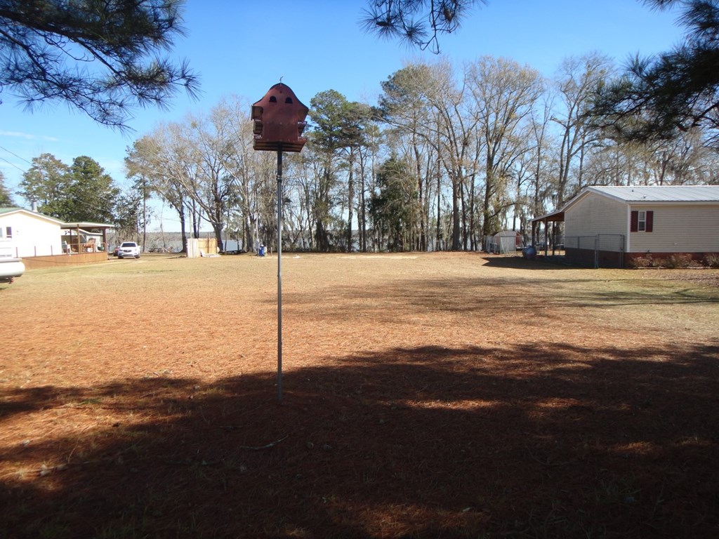 2791 Calhoun Drive Abbeville, AL 36310 - Photo 3 of 12