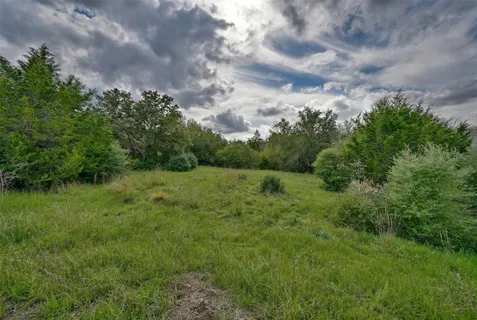 a view of a big yard with plants and large trees