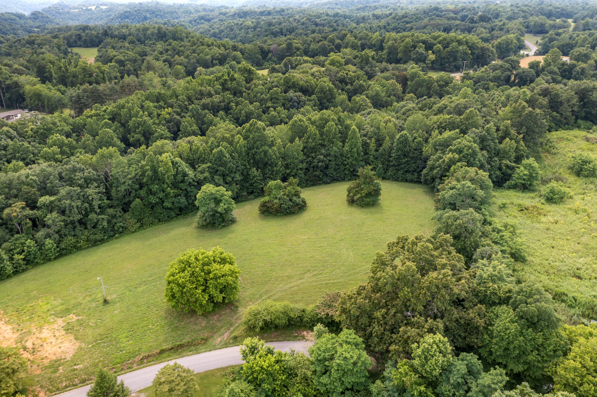 310 Thompson Ridge Road Baxter, TN 38544 - Photo 4 of 10