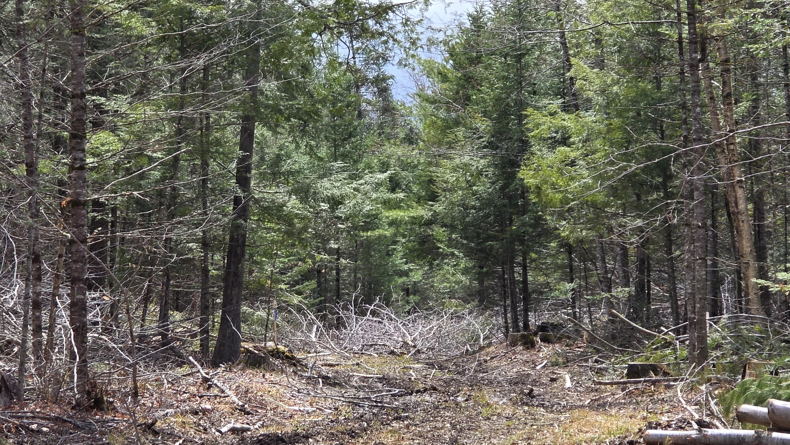 Parcel B Day Road Garland, ME 04939 - Photo 4 of 4 20260423_135034