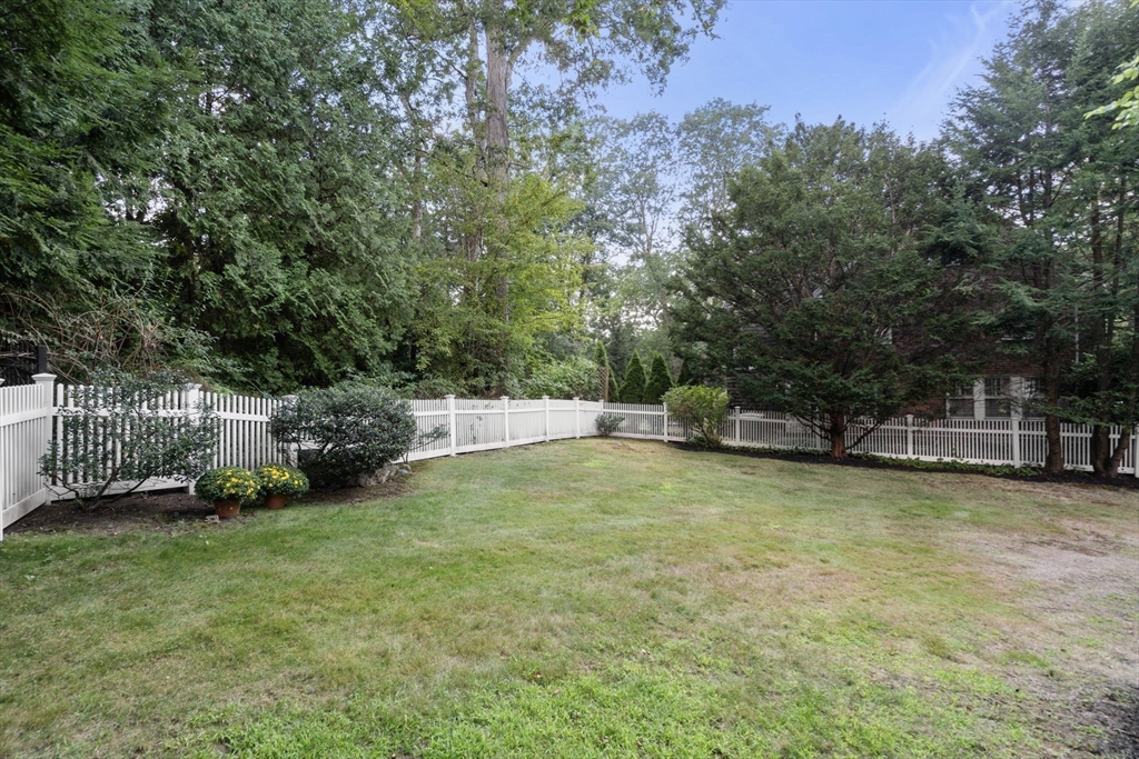 513 Chestnut Street Newton, MA 02468 - Photo 30 of 32 a view of a swimming pool with an outdoor seating and a forest