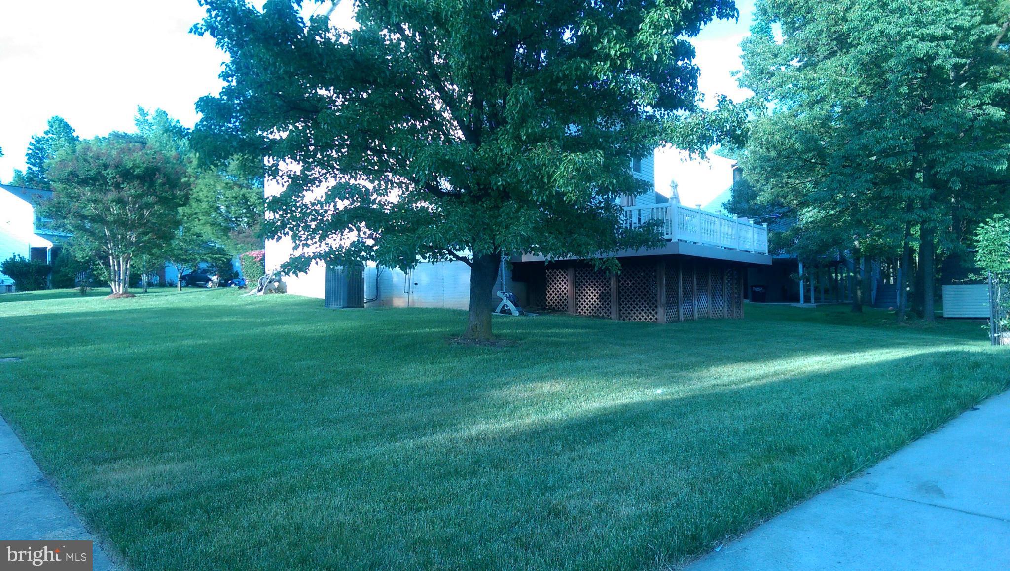 Exterior (General)