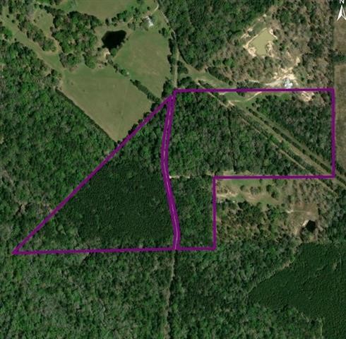 Tbd Old Whiteoak Road Saratoga, TX 77585 - Photo 1 of 6