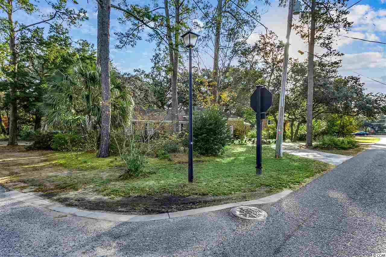 780 Mt Gilead Road Murrells Inlet, SC 29576 - Photo 22 of 24