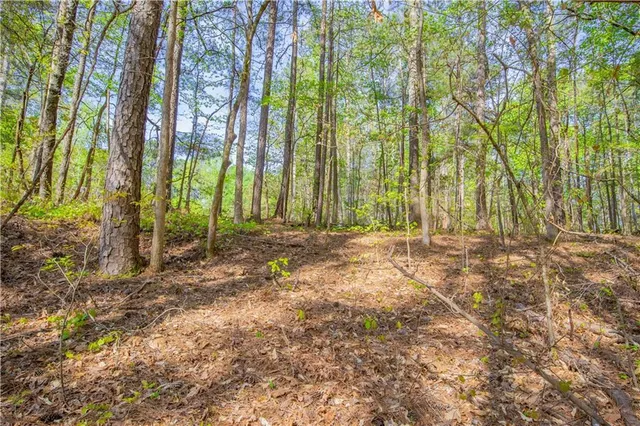 a view of outdoor space with deck and yard