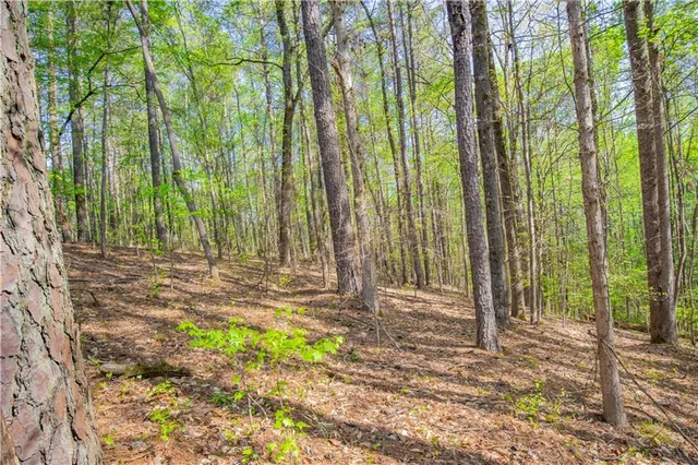 a backyard of a house with lots of green space and outdoor seating