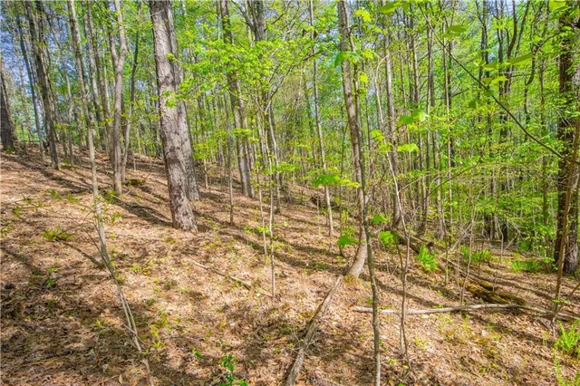 a view of a green field with lots of bushes