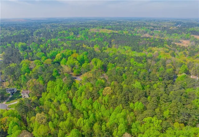a view of a lush green forest