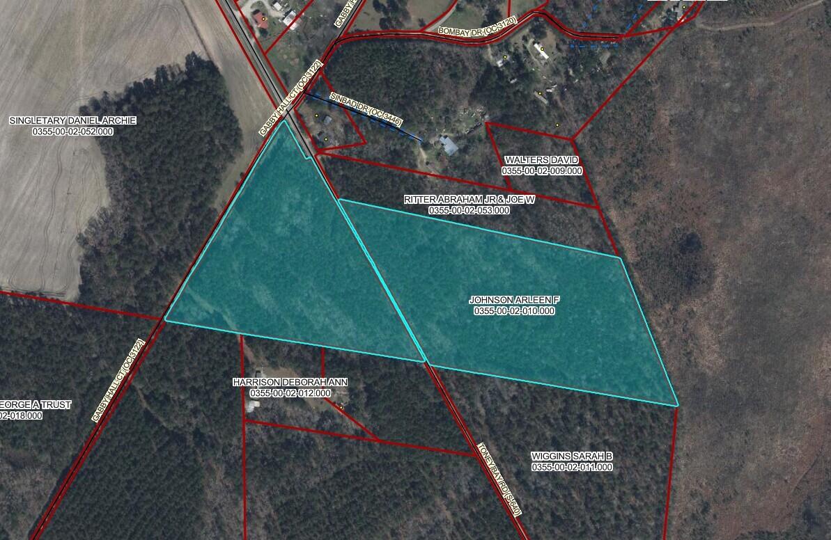 0 Toney Bay Road Holly Hill, SC 29059 - Photo 6 of 6