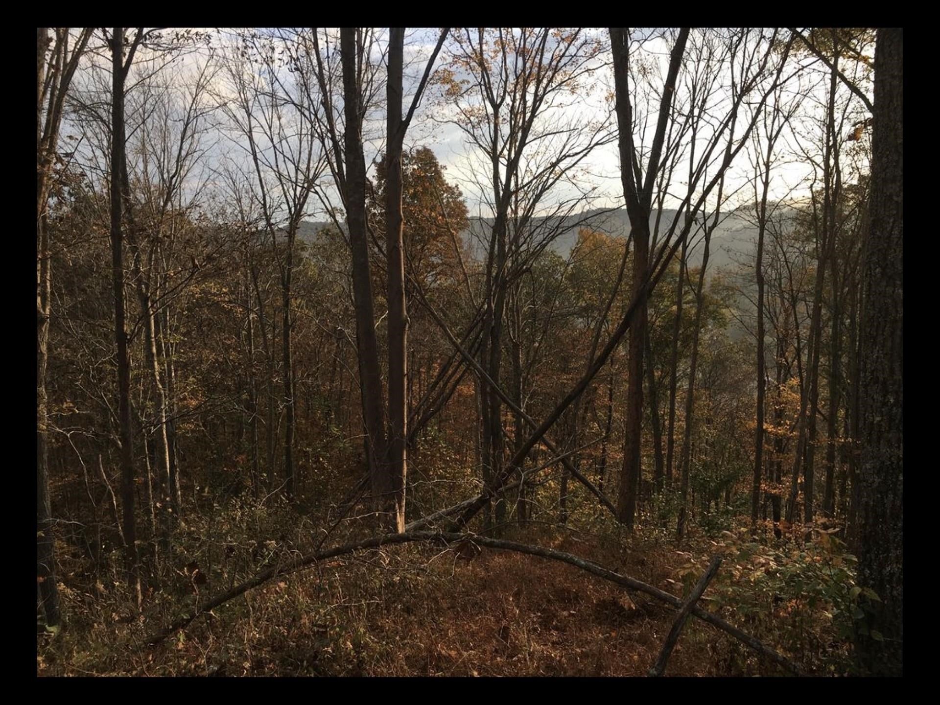 0 Rt 152 Wayne, WV 25570 - Photo 11 of 12 Gallery Image 11