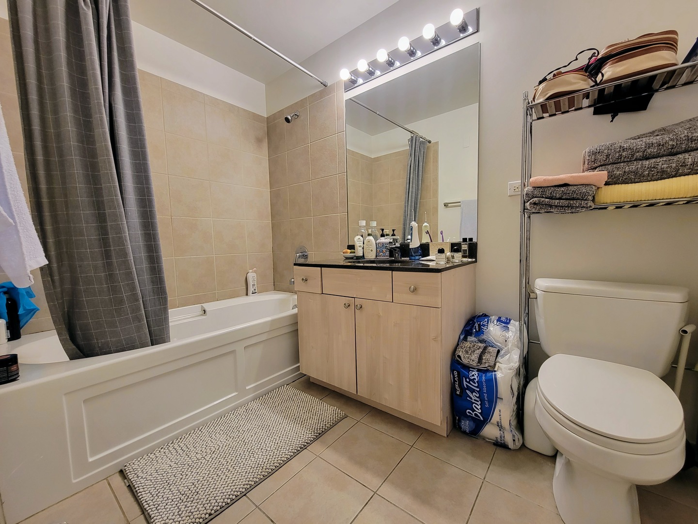 235 West Van Buren Street, Unit 4208 Chicago, IL 60607 - Photo 11 of 16