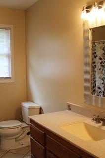 2575 Split Rail Road Shawsville, VA 24162 - Photo 11 of 25 a bathroom with a sink and a toilet