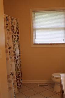 2575 Split Rail Road Shawsville, VA 24162 - Photo 12 of 25 a bathroom with a toilet and a shower curtain