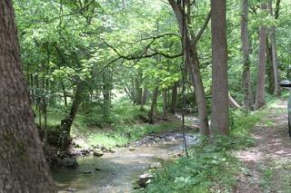 2575 Split Rail Road Shawsville, VA 24162 - Photo 25 of 25 a view of a forest with trees